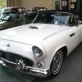 thunderbirdweiss002