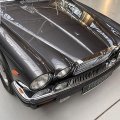IMG_1923