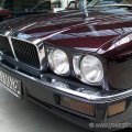 xj81004