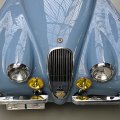 JaguarXK120014