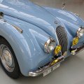 JaguarXK120031