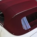 DB190SL-W121weiss004