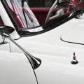 DB190SL-W121weiss023