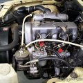 220dmotor