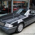 300slblschw010