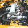 stagsafran042