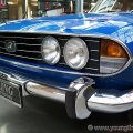 stag007