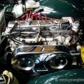 tr250motor1