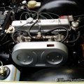 tr6motor
