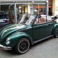 kaefergruen025